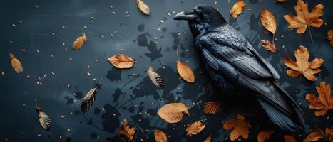 Raven Surrounded by Autumn Leaves and Feathers on Dark Background photo
