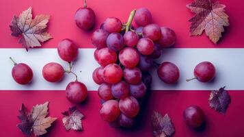 Fresh Red Grapes with Autumn Leaves on a Vibrant Pink and White Background photo
