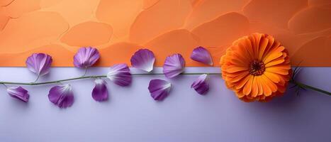 Vibrant Orange and Purple Flowers on Colorful Background with Textured Patterns photo