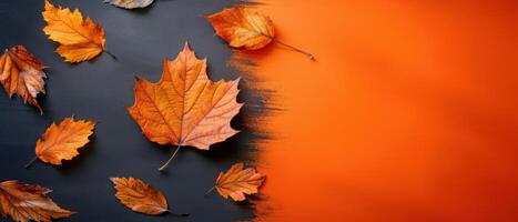 Vibrant Autumn Leaves on Black and Orange Background - Fall Season Nature Concept photo