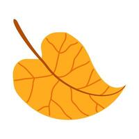 Autumn linden leaf. Hand drawn trendy flat style isolated. autumn leaf, golden season illustration vector