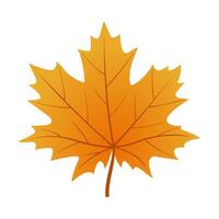 Autumn maple leaf. Hand drawn trendy flat style isolated. autumn leaf, golden season illustration vector
