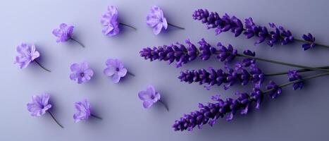 Beautiful Lavender and Purple Flowers Arrangement on a Soft Pastel Background photo