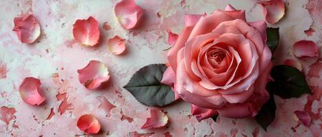 Beautiful Pink Rose with Petals on Artistic Background, Romantic Floral Arrangement photo