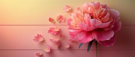 Beautiful Pink Peony Flower with Petals Falling Against a Gradient Background photo