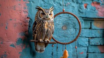 Majestic Owl Perched Next to Dreamcatcher on Colorful Rustic Wall - Nature and Bohemian Decor photo