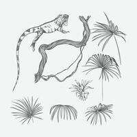 hand drawn chameleon and tropical forrest element illustration vector
