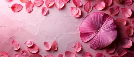 Beautiful Pink Petals and Large Flower on Textured Pink Background - Floral Art and Nature Concept photo