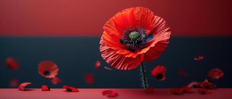 Vibrant Red Poppy Flower with Petals Falling Against a Gradient Background in Studio Lighting photo