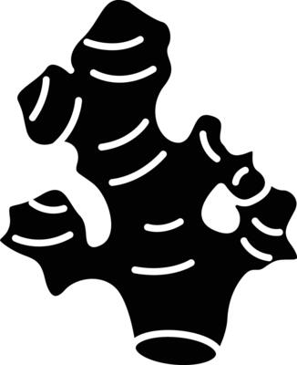 Ginger solid glyph illustration