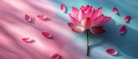 Beautiful Pink Lotus Flower with Petals on a Soft Gradient Background of Blue and Pink photo