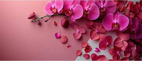 Elegant Pink Orchids on Gradient Background with Petals Scattered, Perfect for Floral and Botanical Themes photo