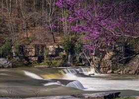 Valley Falls State Park near Fairmont in West Virginia on a colorful and bright spring day with redbud blossoms on the trees photo