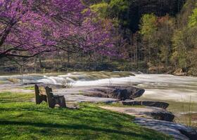 Bench overlook of Valley Falls State Park near Fairmont in West Virginia on a colorful and bright spring day with redbud blossoms on the trees photo