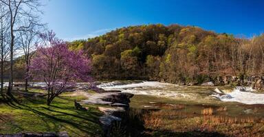 Valley Falls State Park near Fairmont in West Virginia on a colorful and bright spring day with redbud blossoms on the trees photo