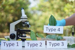Microscope for doing science experiment outdoor. Concept, scientific tool for education, lab lesson. Biology subject. Learning by doing. Doing research. Science project work. photo