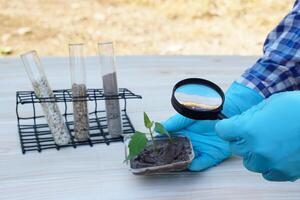 Test tubes that contain sample soil. Concept, soil quality inspection, research and science experiment. Laboratory. Find the best from different soil type and source for growing agriculture crops photo