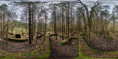 hdri panorama 360 in pine forest near concrete foundation covered with moss abandoned unfinished building and traces of ancient highly developed civilization in equirectangular spherical projection. photo