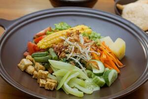 Close up of gado-gado ingredients in a plate, various vegetables and fried tempeh photo