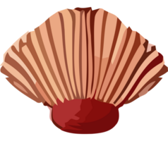 A shell with a red center on a black background png