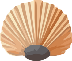 An illustration of a shell on a black background png