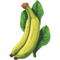 Bananas with leaves on a black background png