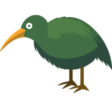 A green bird with a long beak png