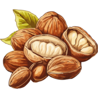 Nuts with leaves and shells on a black background png