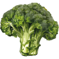A broccoli head is shown on a black background png