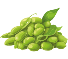 A pile of green beans with leaves png