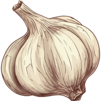 A garlic bulb on a black background png