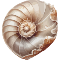 A shell with a spiral pattern on it png