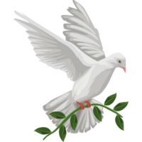 White dove with green leaves flying over a black background png