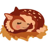 A cute deer sleeping in a nest png