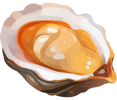 An open oyster shell with a white shell png