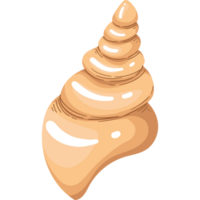 A cartoon shell with a spiral pattern png