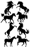 Horses. Set of different silhouettes in different poses vector