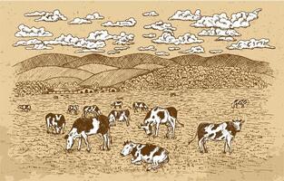 Cows feeding on the grassland, with texture background and wite clouds vector