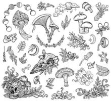 Design set with mystic mushrooms, skull, boho and floral decorative doodle elements, witchcraft symbols. Esoteric and witchy forest concept, line art illustrations vector