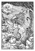 Manticore. Hand drawn engraved fantasy illustration. Mythology and fairy tale character vector