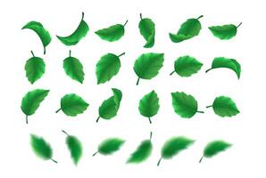 Green plant leaves realistic illustration collection. Fresh foliage variation for design. Natural 3d elements rows on white background vector