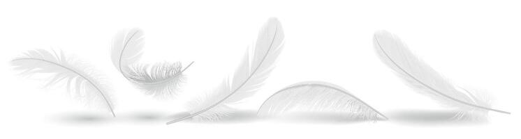 Bird feather shapes group realistic illustration set. Flying plumage with messy texture. Fluffy white quills 3d elements on white background vector