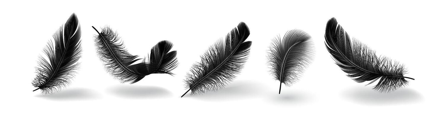 Bird feather shapes group realistic illustration set. Flying plumage with messy texture. Fluffy black quills 3d elements on white background