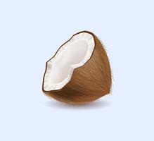 Tasty cracked coconut half realistic illustration. Tasty nutritious dessert. Nut with brown shell 3d object on light background vector