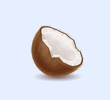 Exotic broken coconut half realistic illustration. Delicious dessert with fresh pulp. Delicacy snack 3d object on light background vector