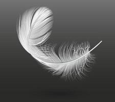 Flying white single feather realistic illustration on black background. Gentle floating quill 3d design element. Curved bird plumage part image vector