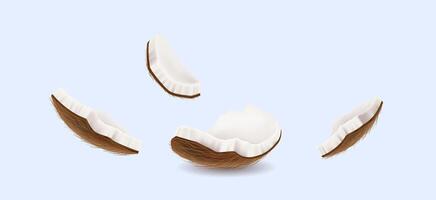 Coconut pieces floating realistic illustration. Exotic dessert. Fresh tropical fruit cracked in parts 3d object on light background vector