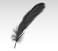 Single black feather realistic illustration on white background. Dark crow quill 3d design element. Soft bird plumage part image vector