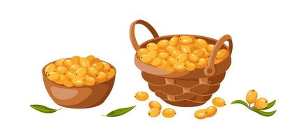 Sea buckthorn berries harvest 2D cartoon objects set. Bowl and basket with organic food flat line icons on white background vector