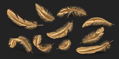 Golden scattered feathers realistic illustration set. Shiny plumage details variations. Elegant quills 3d elements on dark background vector